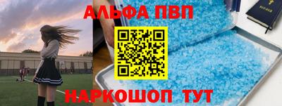 эйфоретик Кингисепп