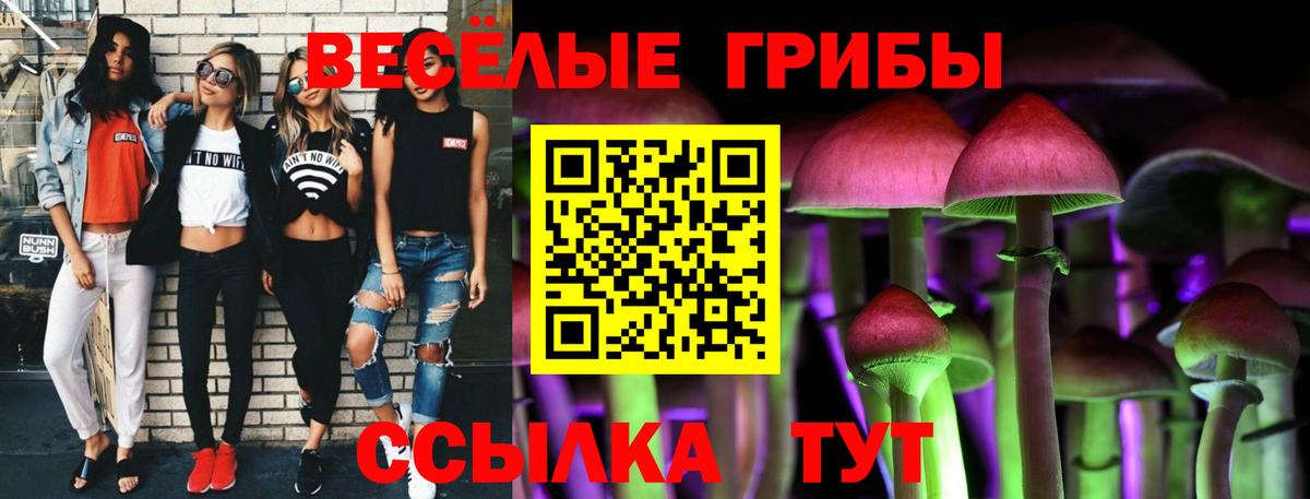 Галлюциногенные грибы прущие грибы Ленинск-Кузнецкий