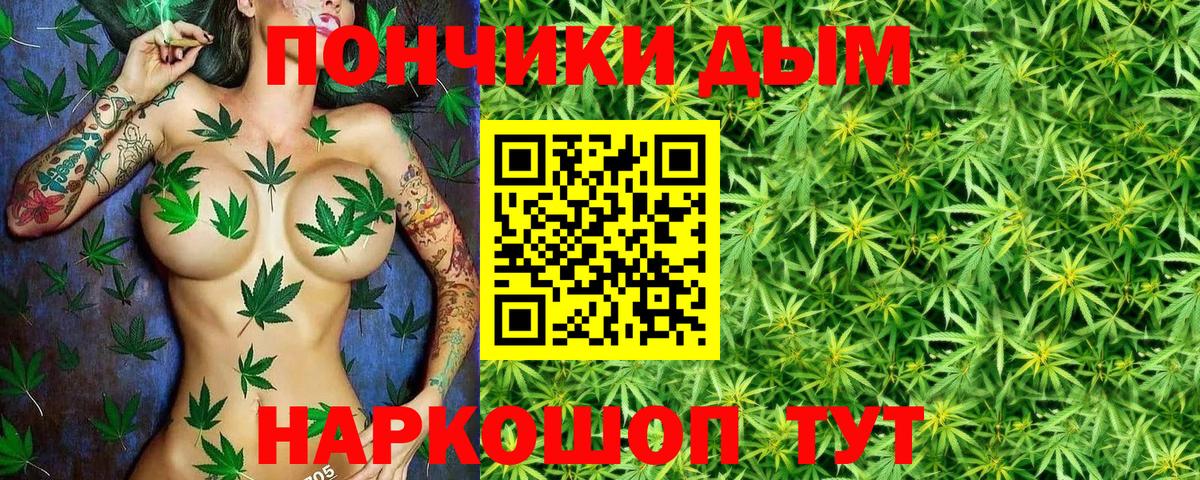 Ленинск-Кузнецкий  Шишки марихуана план  Конопля AK-47  Шишки марихуана Bruce Banner  Вход с VPN 
